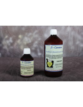B-Carotène 250 ml