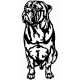 Bullmastiff