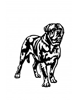 Dogue de Bordeaux