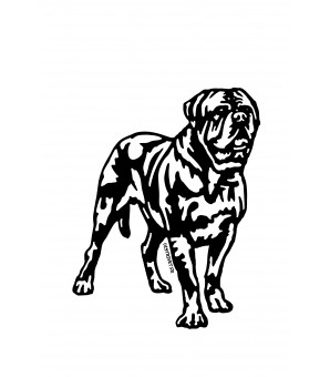 Dogue de Bordeaux