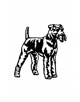 Airedale terrier