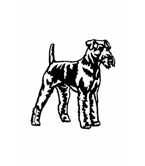 Airedale terrier