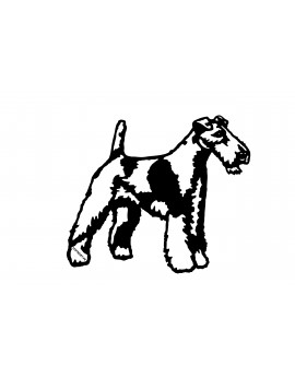 Fox terrier poil dur