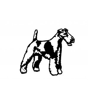 Fox terrier poil dur