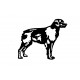 Epagneul breton