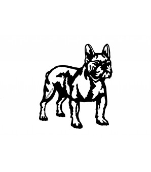 Bouledogue Français