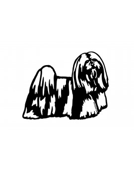 Lhassa Apso