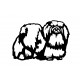 Pekinois