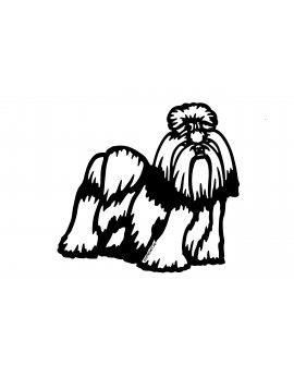 Shih Tzu