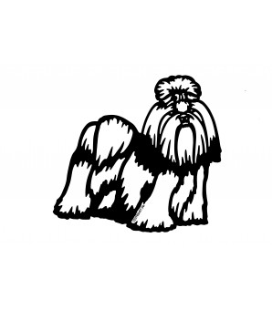 Shih Tzu