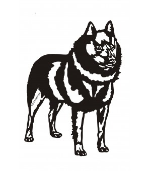 Schipperke