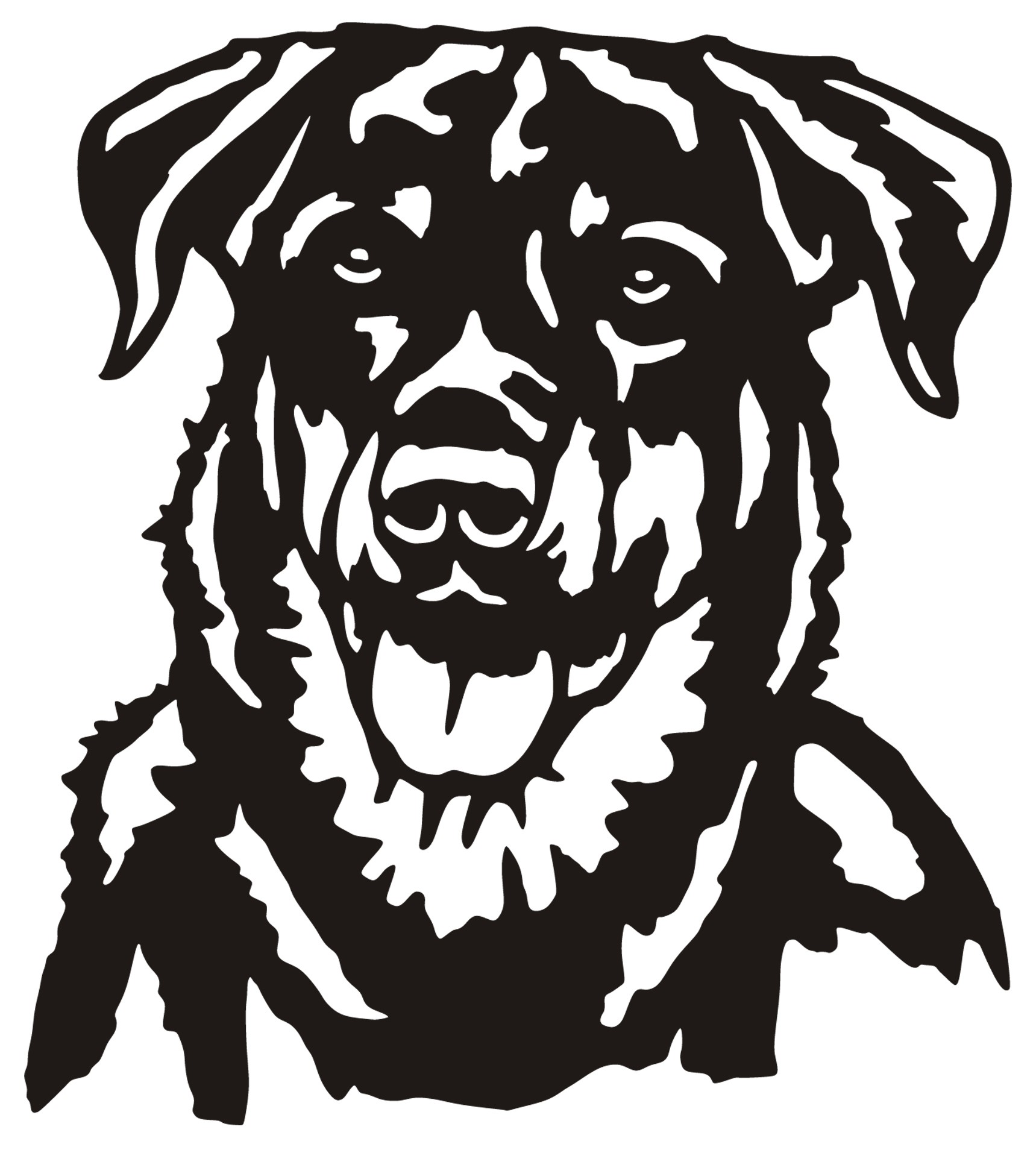 Dessin Beauceron Beauceron - DISTRIVET